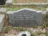 image of grave number 738156